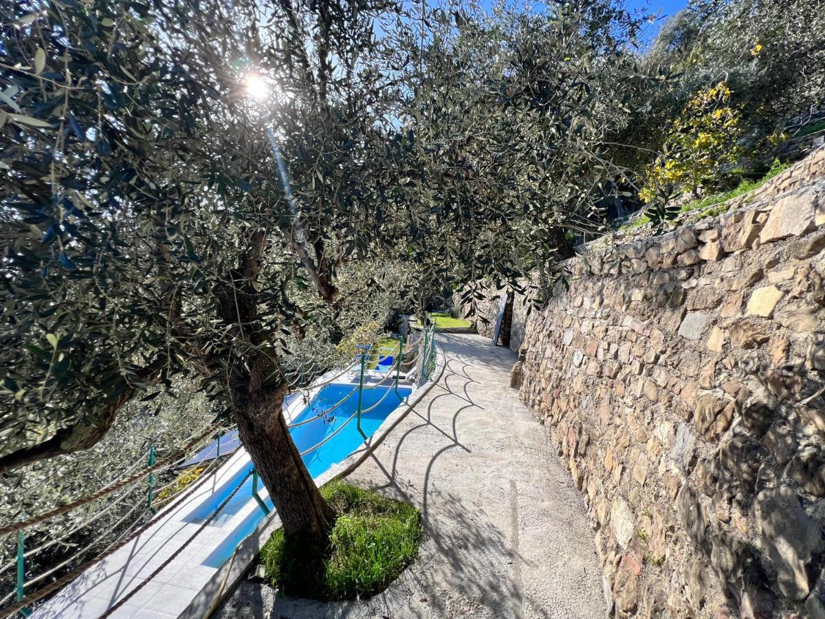 Villa Di Campagna Con Vista Mare 5 Camere Da Letto Pampara Esterno foto
